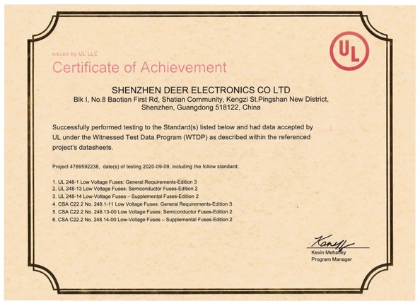 Китай Dissmann | Global Expert Fuse for EV | HEV | Photovoltaic | Battery | Energy Storage Solutions Сертификаты